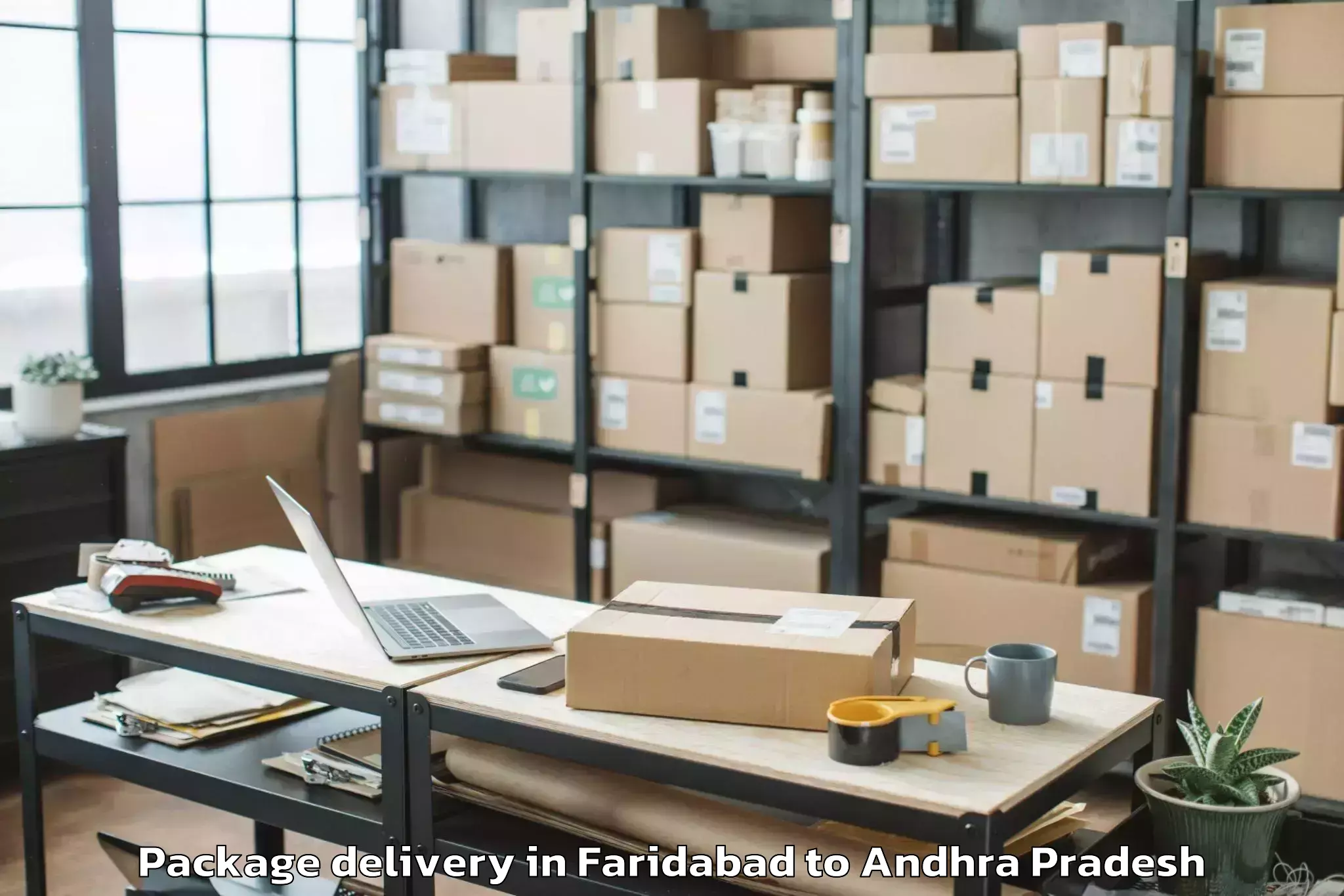 Quality Faridabad to Dachepalle Package Delivery